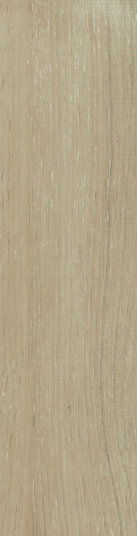 Piastrella Rivestimento Acacia 155X605 Beige – Interno 39